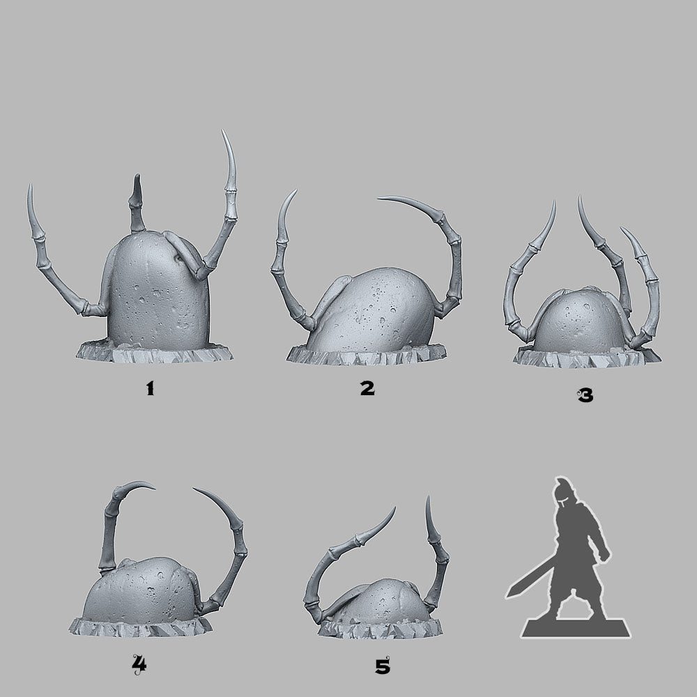 SPIDER STONES