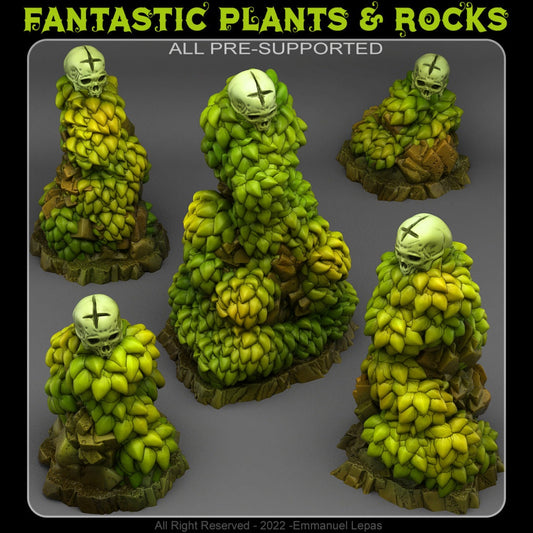 ANCIENT CRUSADER TOMBS by Fantastic Plants And Rocks