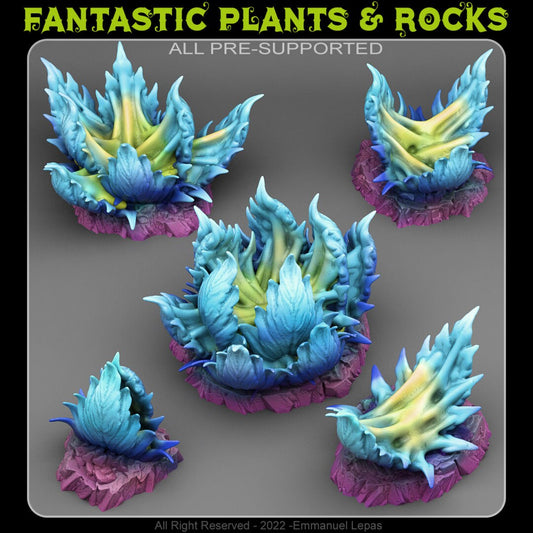 ALIEN CARNIVOROUS PLANTS by Fantastic Plants And Rocks