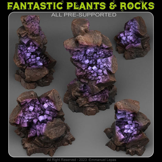 ANCIENT HIDDEN CRYSTALS by Fantastic Plants And Rocks