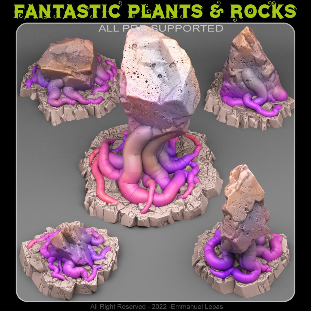 SQUIDSTONES by Fantastic Plants And Rocks