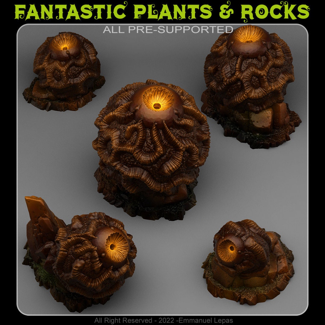 DARK OBSERVER STONES by Fantastic Plants And Rocks