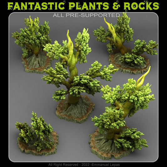 ANGERVINE TREES by Fantastic Plants And Rocks