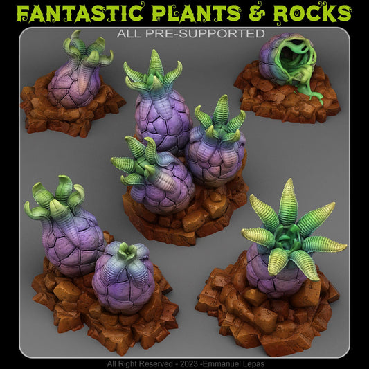 ALIEN EGGS by Fantastic Plants And Rocks