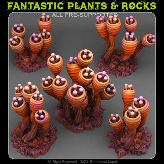 ALIEN ANEMONE by Fantastic Plants And Rocks